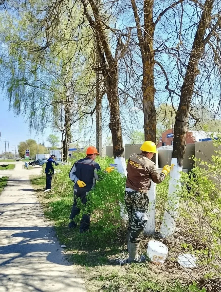 В рамках весеннего благоустройства города Малоярославец коллектив МУП «Малоярославецстр...