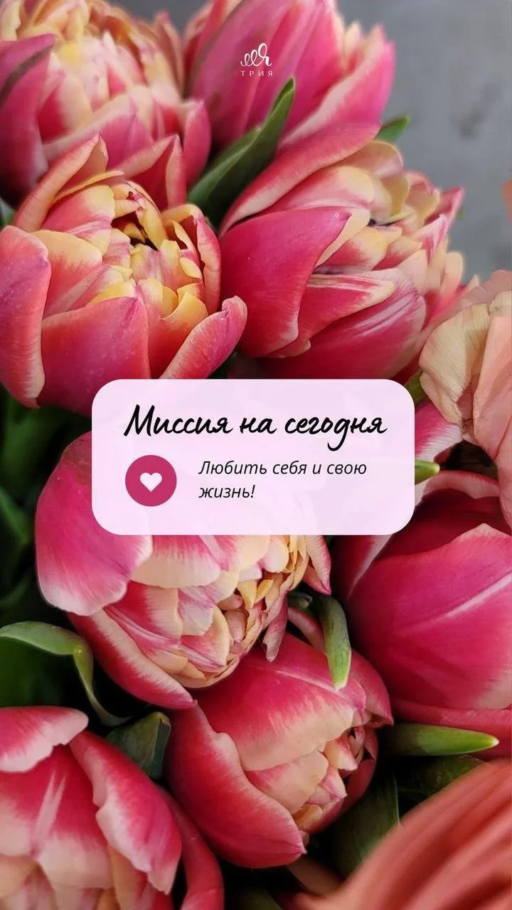 Сегодня всех  ждём  на коврике