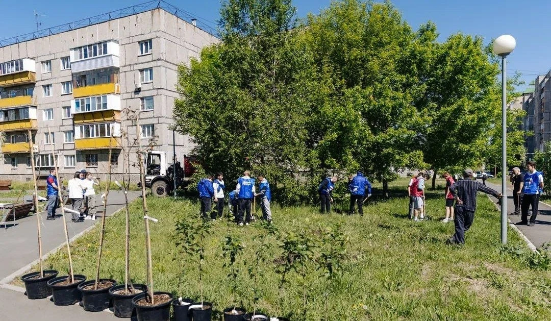 В Магнитогорске появилась молодёжная аллея из пяти яблонь и семи рябин  Аллею высадили студенты и во