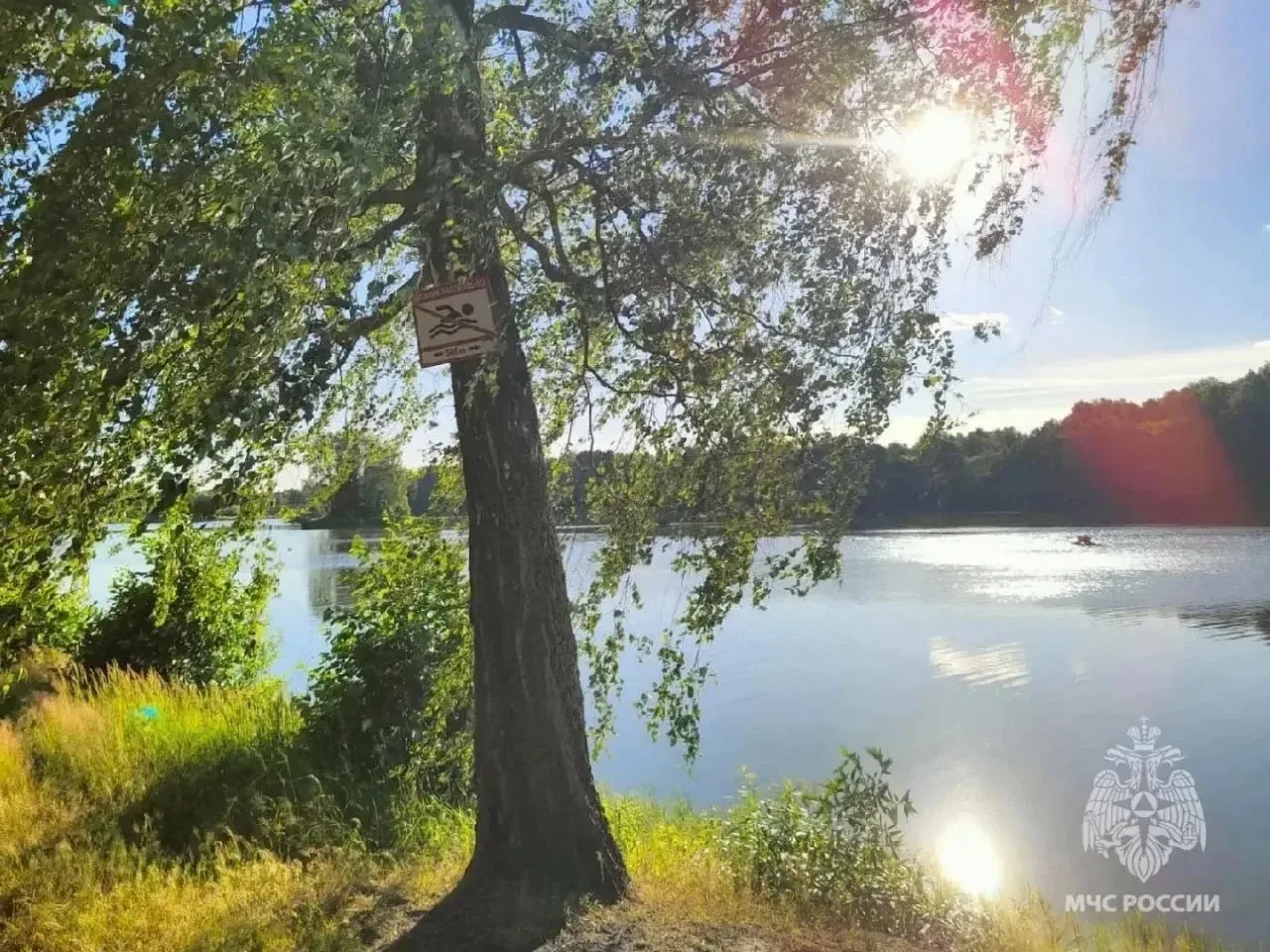⚠️ Трагедия на воде: в Унечском районе обнаружены тела двух подростков