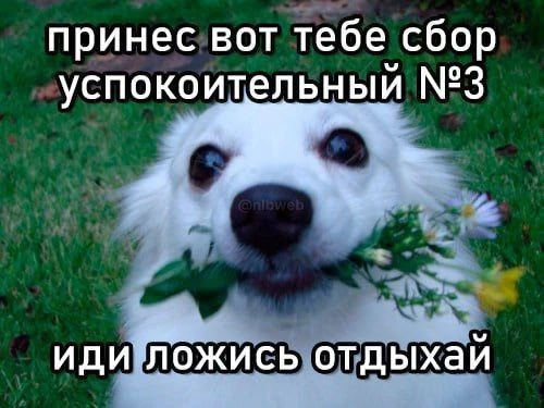 Всем спокойной ночи😁