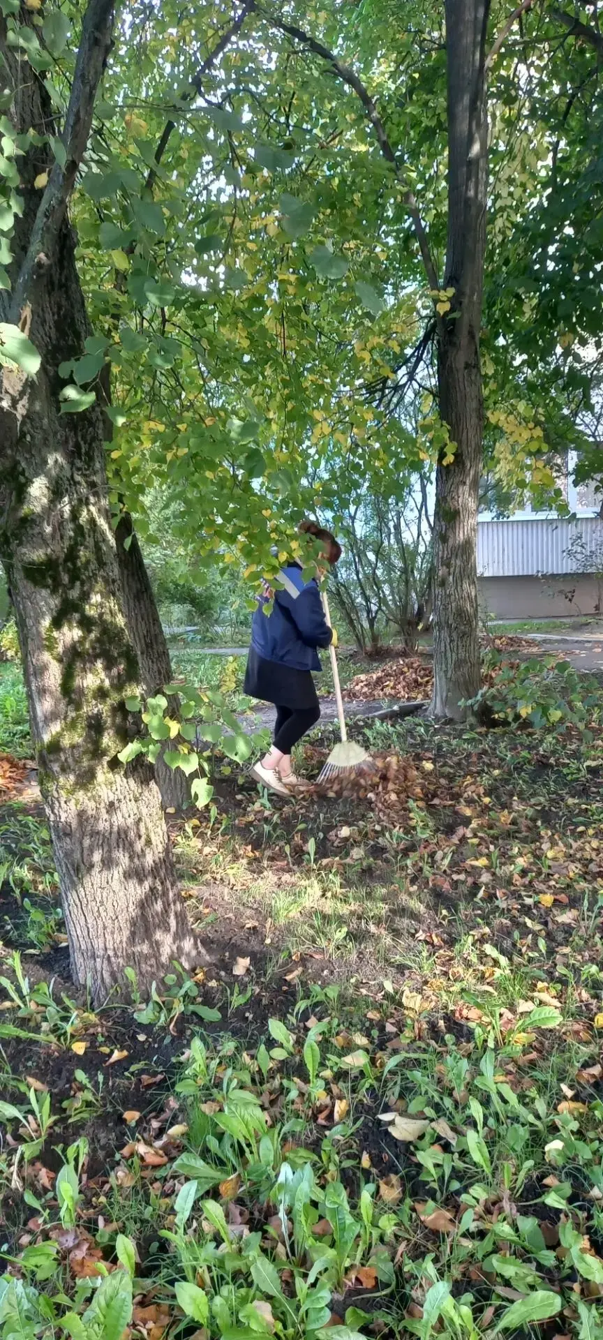 🧹 Уборка территории по адресу: пр.Северный, дом 61, корп.1.