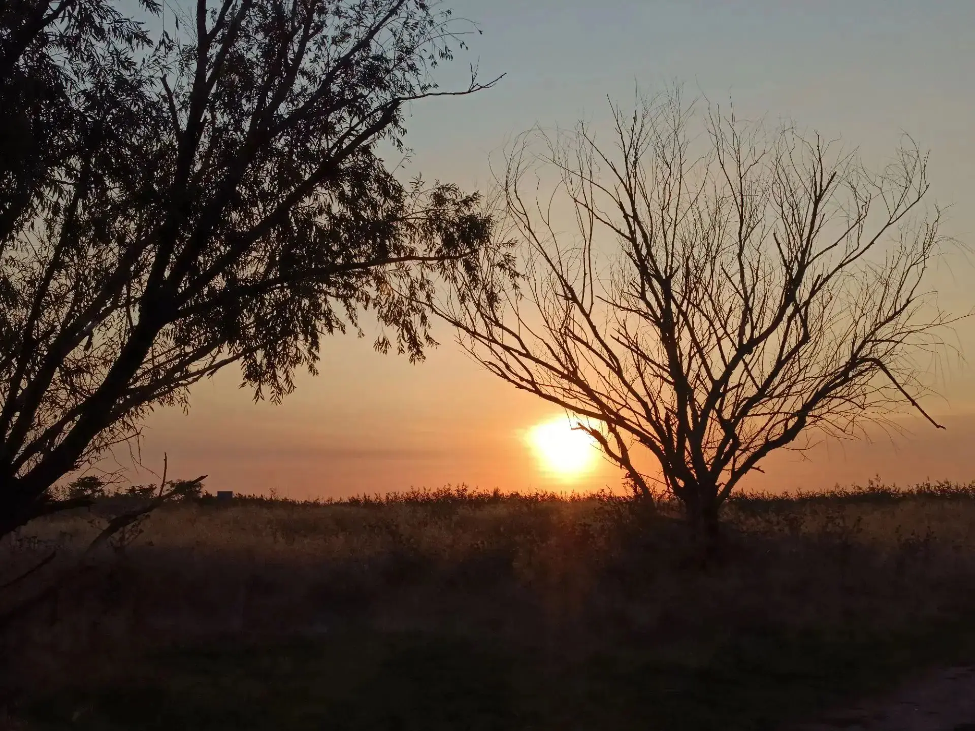 🌅 Вечер, который хочется запомнить