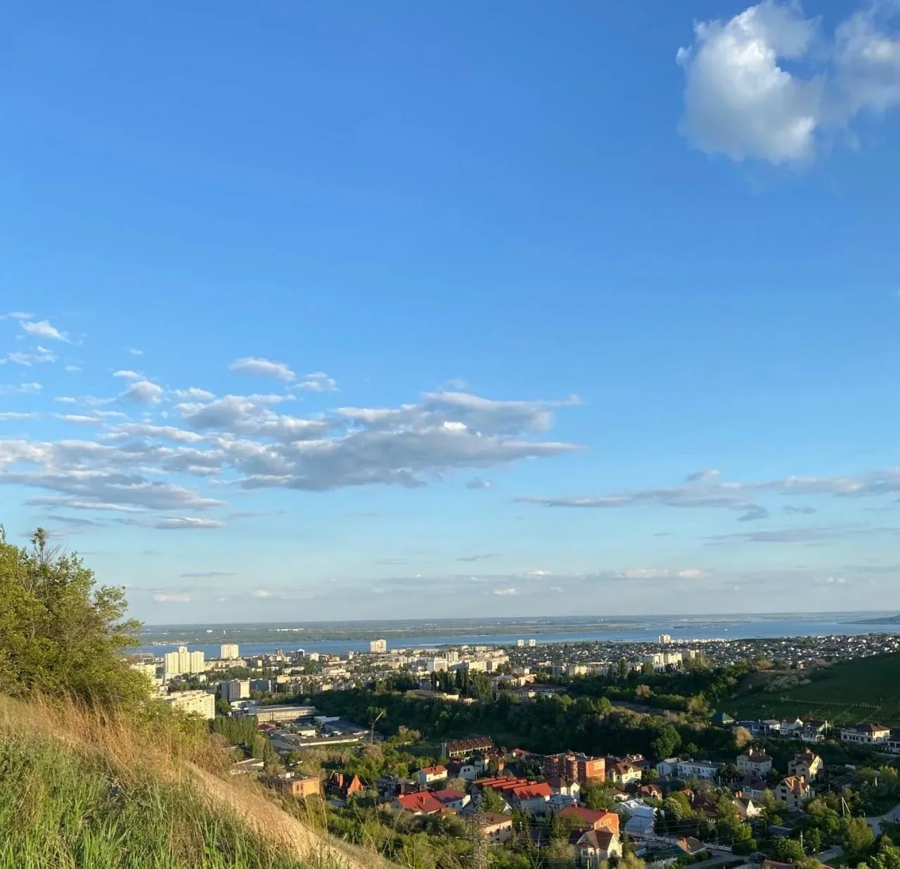 На Кумысной поляне в Саратове проведут обработку от грызунов