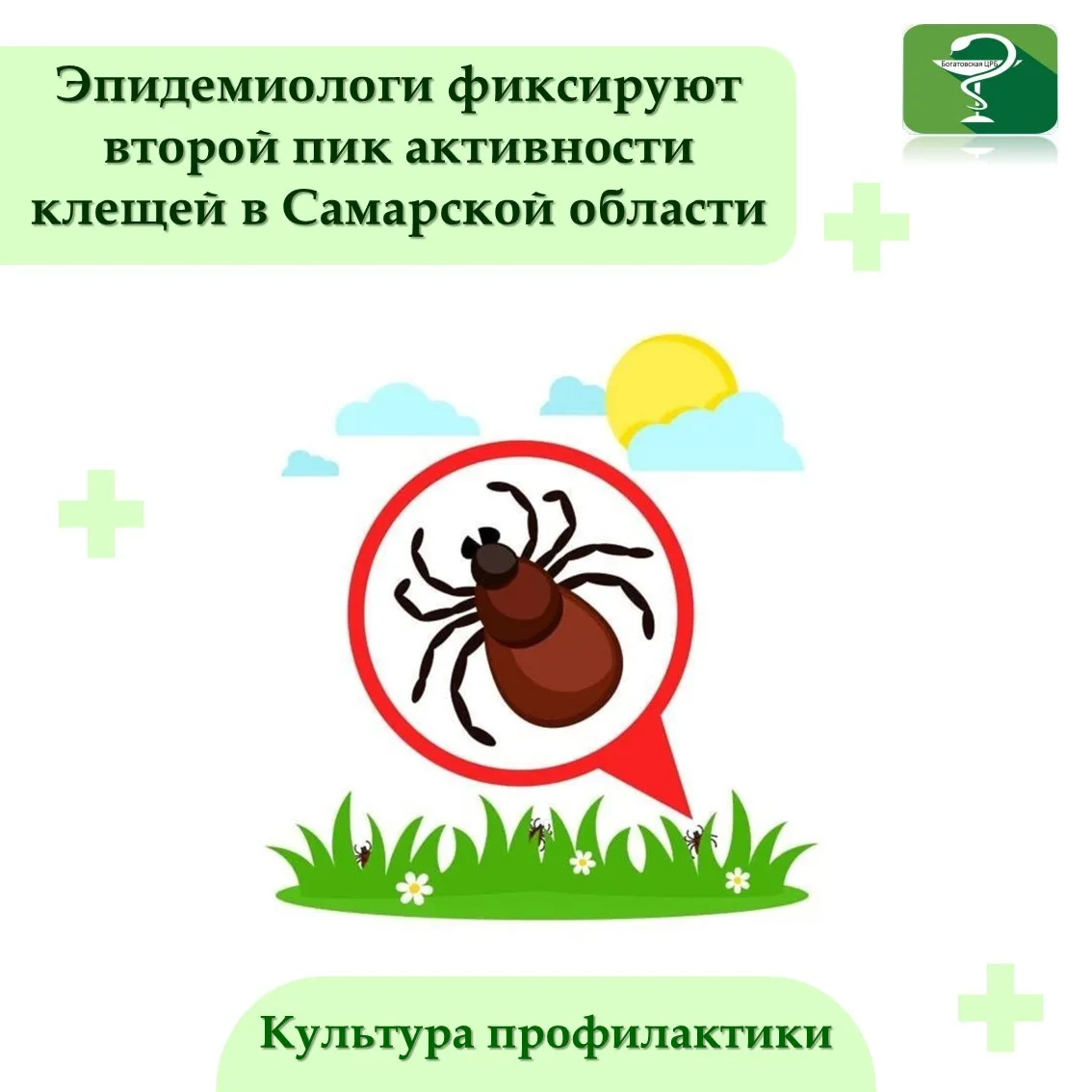 Осторожно: клещи! Второй пик активности в Самарской области.