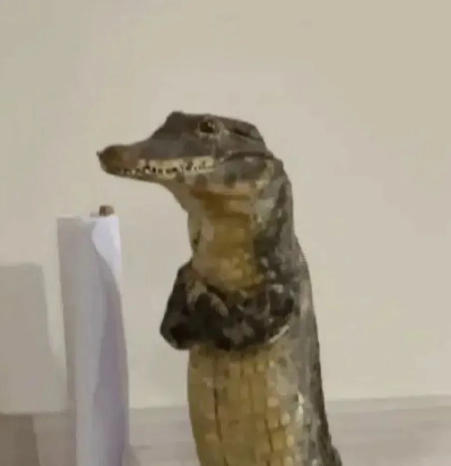 🐊Мужчина может оказаться в тюрьме из-за фейкового крокодила