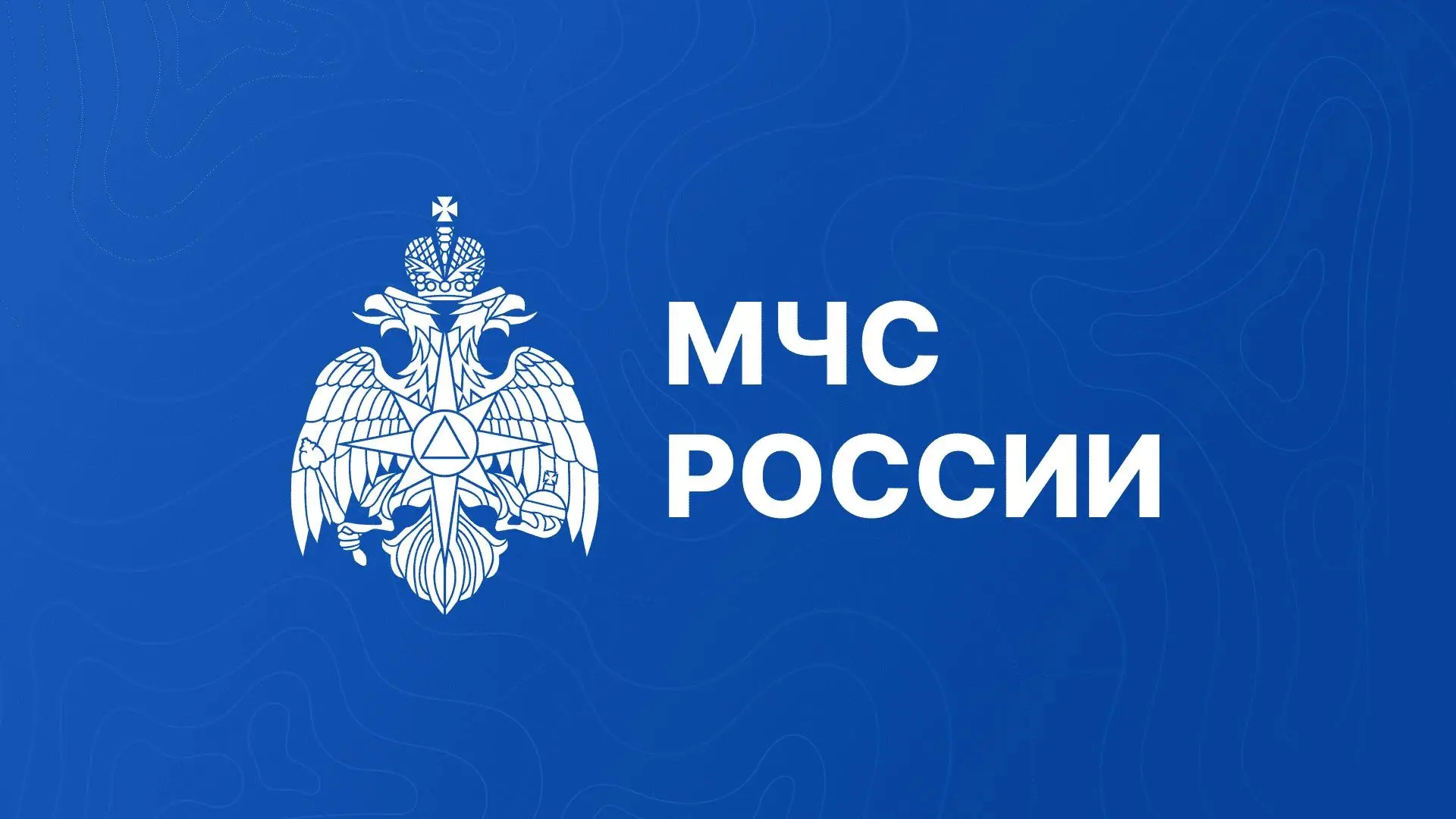 🔵 Оказание государственной услуги «Выдача заключения по результатам комплексных учений»