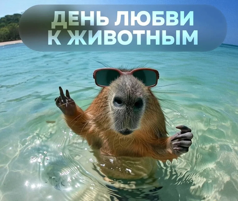 🐾 31 августа — День любви к животным! 🐾Сегодня — замечательный и добрый праздник для ...
