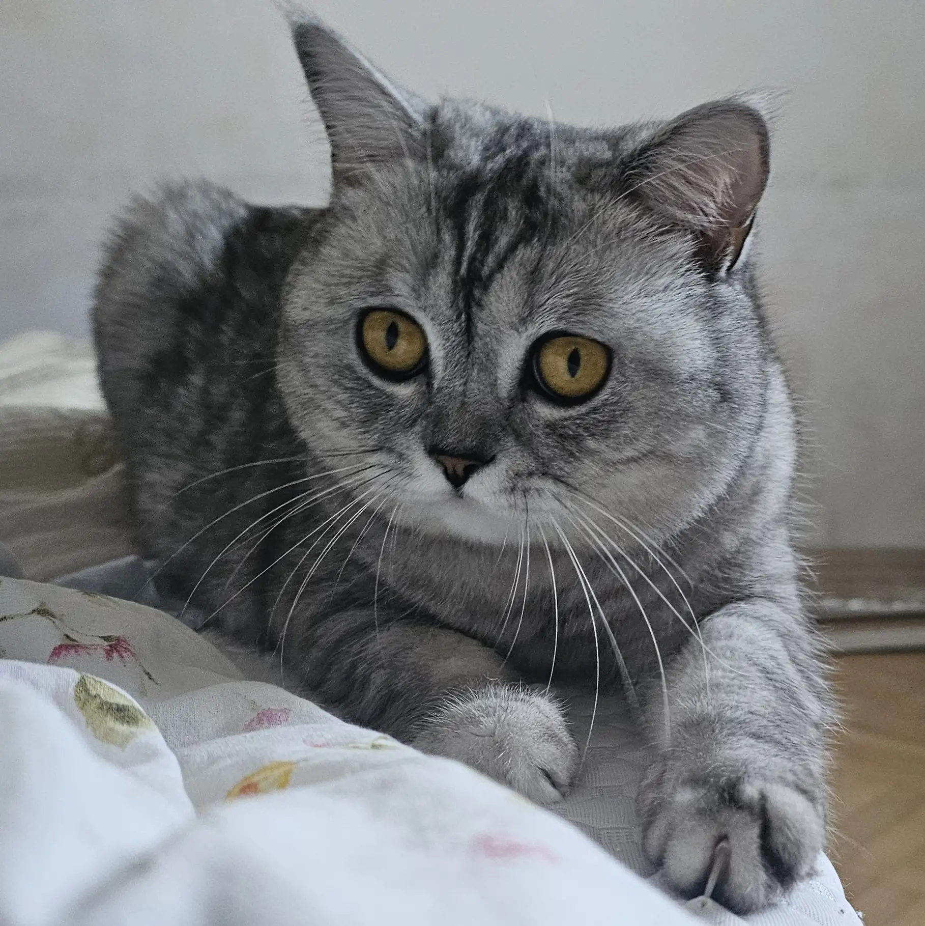 Юки