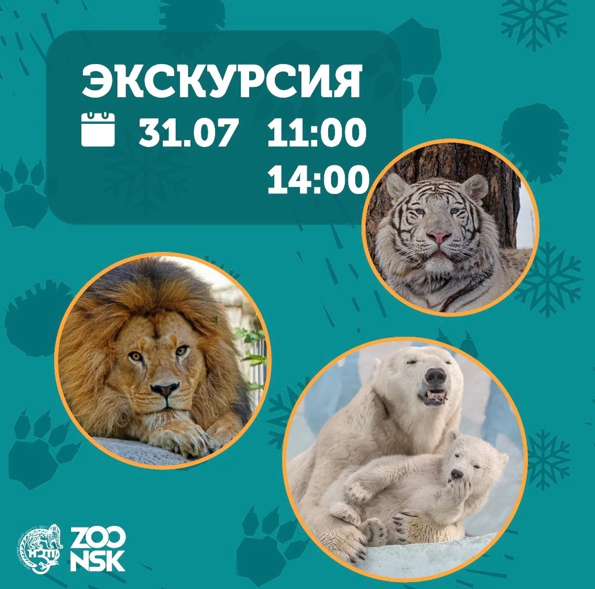 Родники | Снегири | Новосибирск🏡

Пятничная удача!

Только в эту пятницу пройдут обзорные экскурсии
