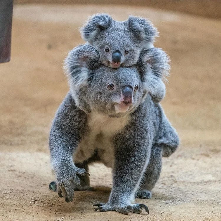 Доброе утро 🙃