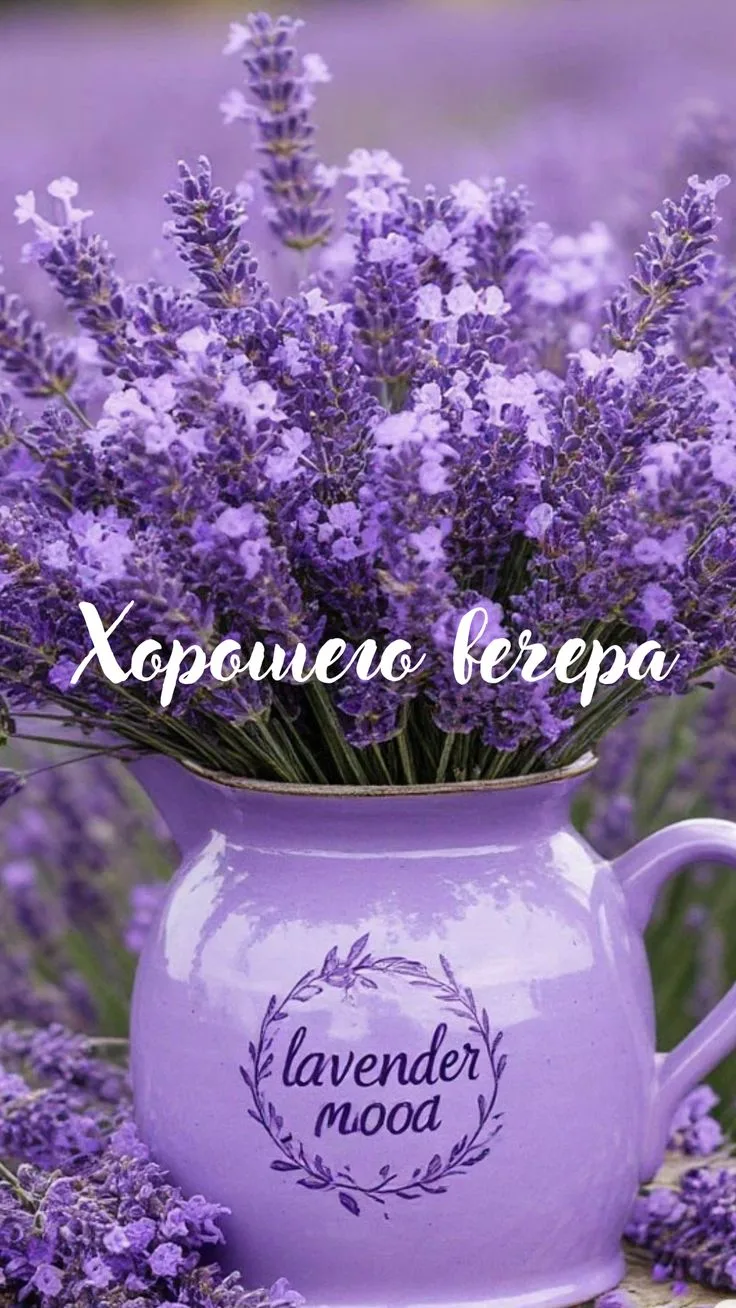 Подпишись 👇