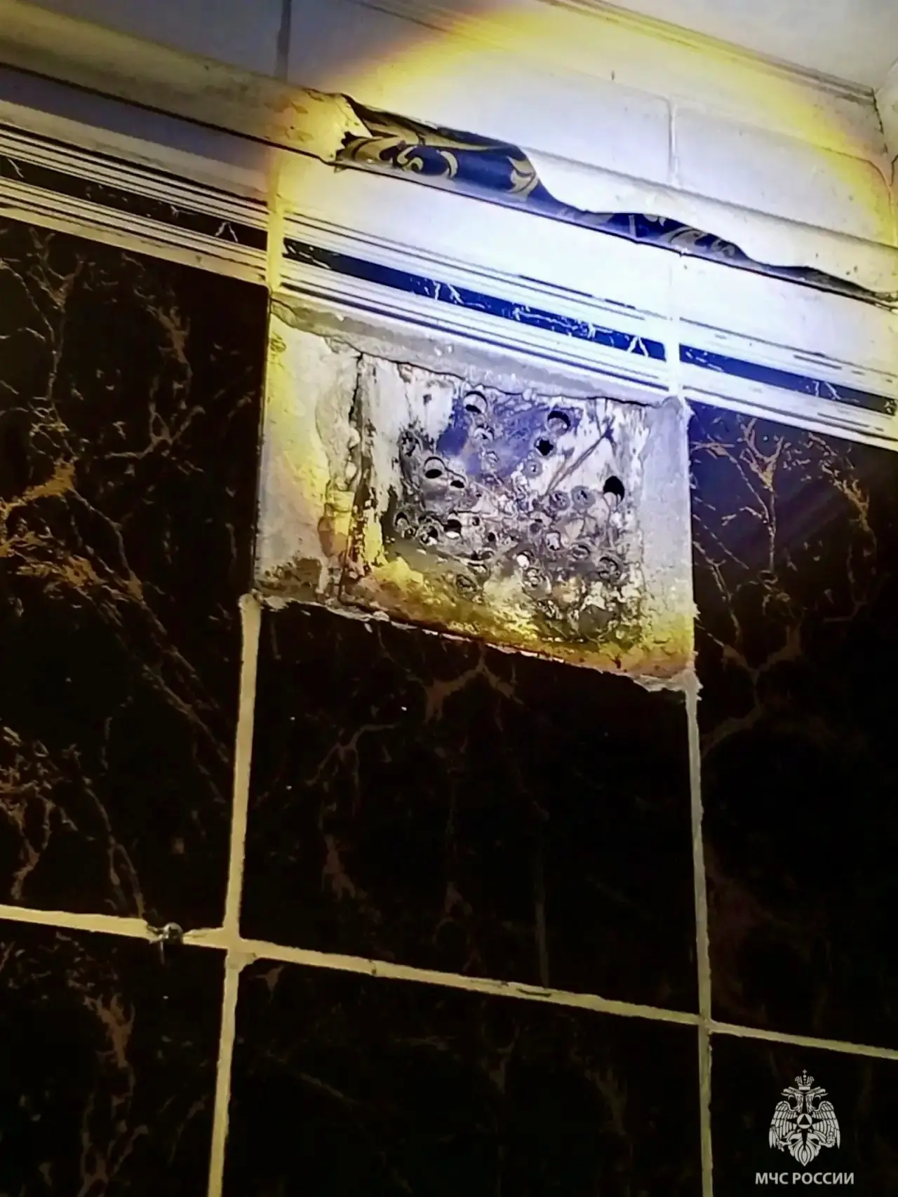 ⚡️Пленник биробиджанской пятиэтажки

В службу спасения поступил звонок от жительницы одной из пятиэт