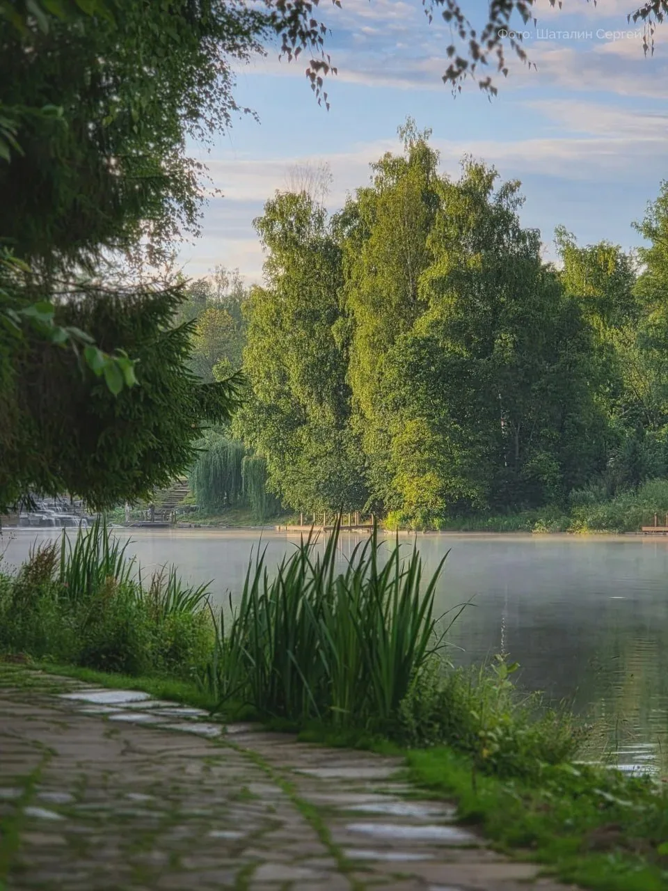 🌲 Лесопарк «Ближняя Дача»: лес и рукотворный ландшафт