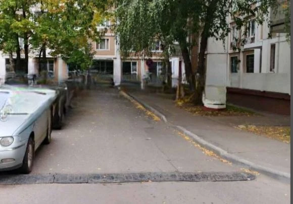 🌳 Разросшиеся ветки мешают жителям на Знаменских Садках
