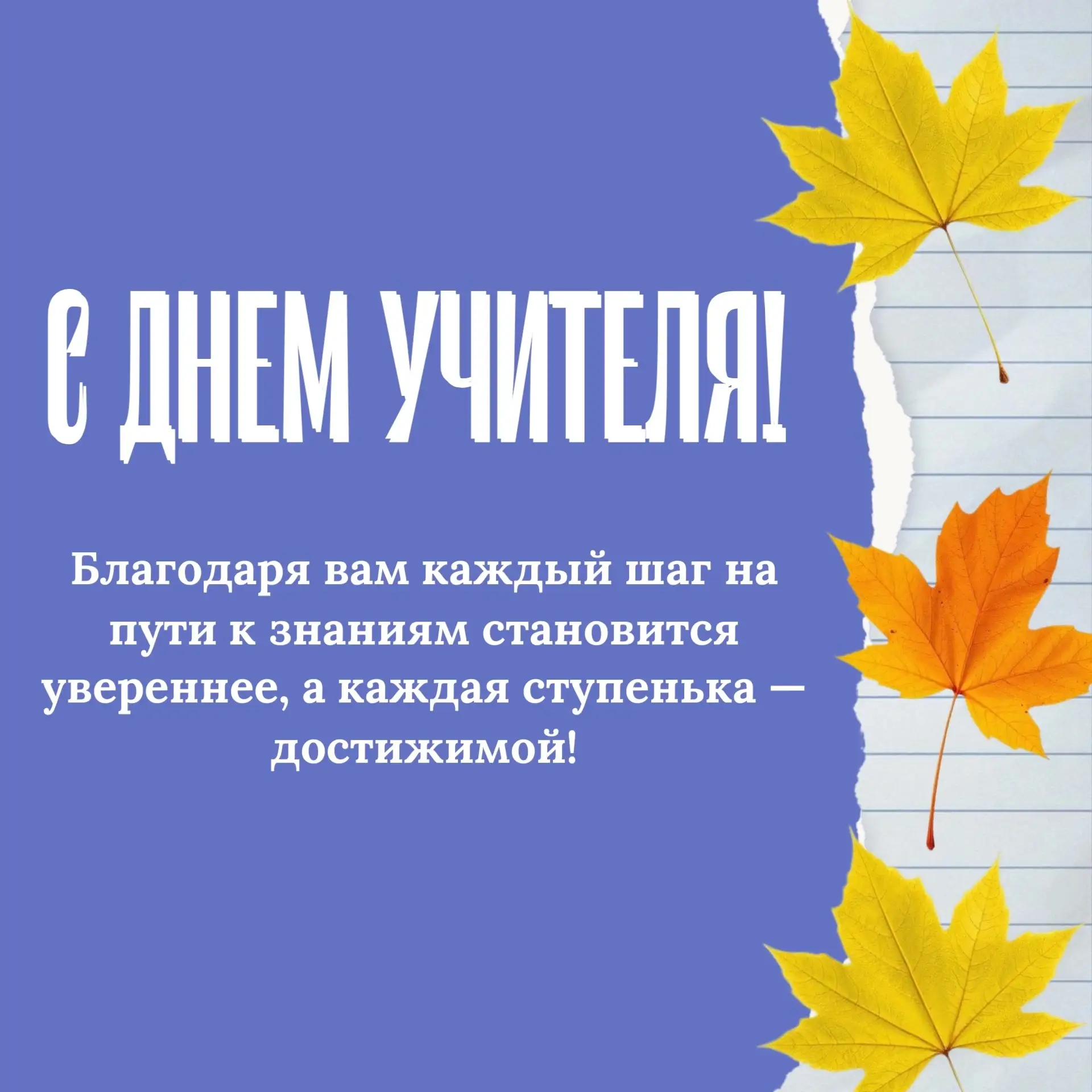 🗓Ежегодно 5 октября в России и других странах мира чествуют учителей, воспитателей и п...