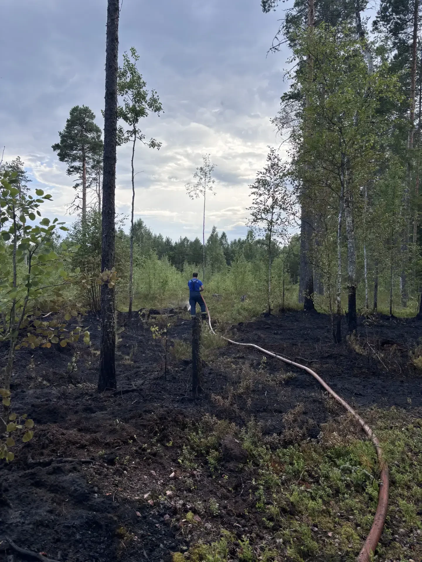 С начала пожароопасного сезона в Карелии ликвидировали 60-й лесной пожар 🔥⛔

Он произошел вчера в К
