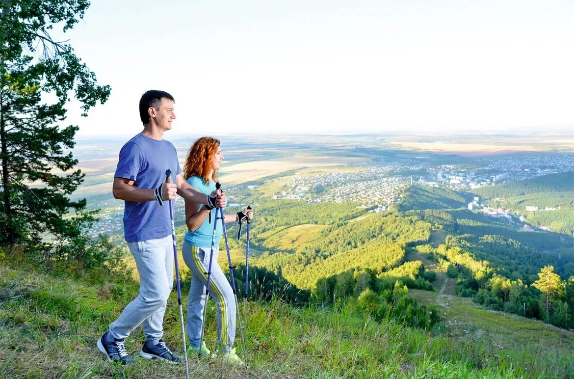 ⛰️«ГОРНЫЙ ВОЗДУХ» в кабинете