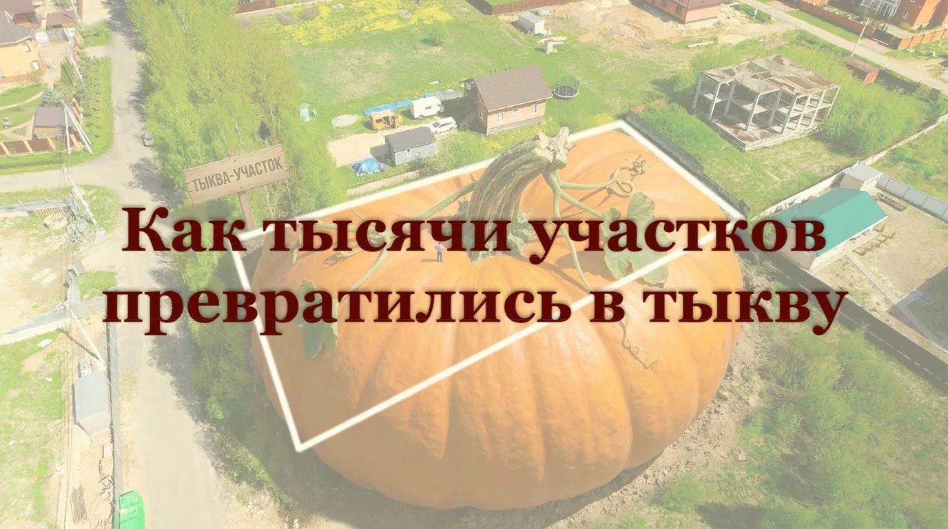Как тысячи участков превратились в тыкву