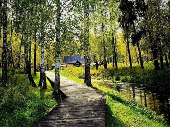 🌲 Лосиный остров: природа, которая рядом с мегаполисом