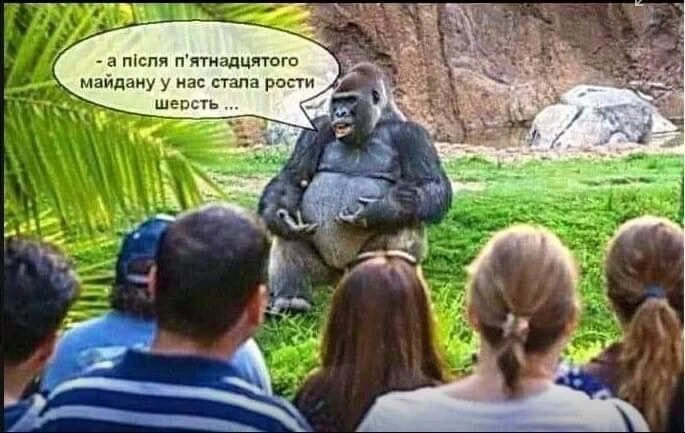 Доскакались???