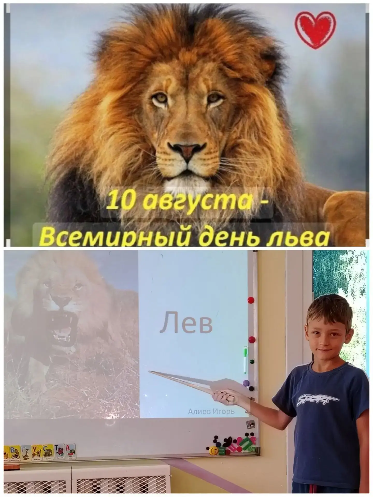 Главные в саванне: что мы сегодня узнали о львах! 🦁