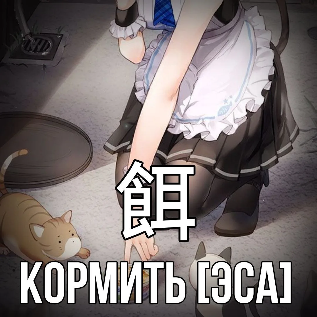 🐈‍⬛️ Кормить - 餌 [Эса] — давать корм.