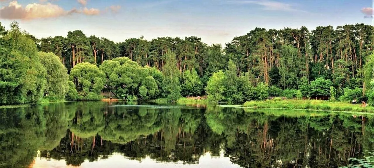 Шикарной фотографией из Серебряного Бора поделились жители 🌳