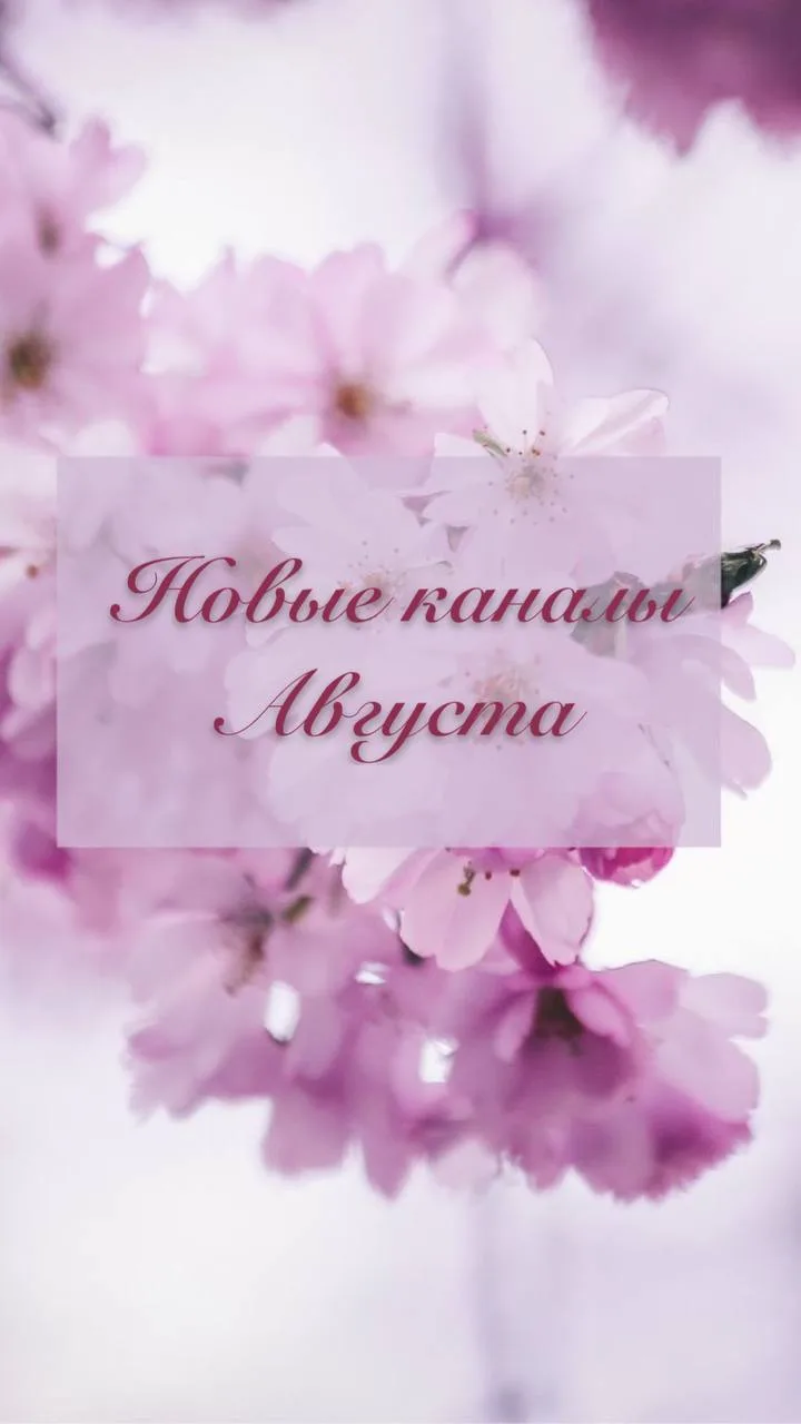 Новые каналы этого Августа: