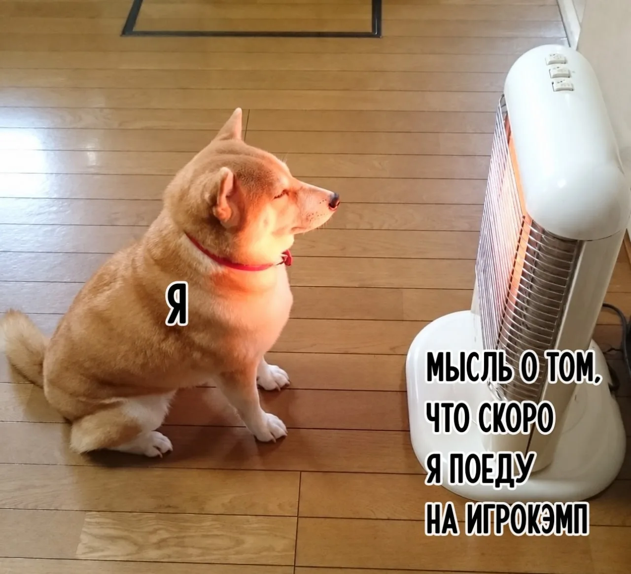 Этой осенью нас будут согревать впечатления от уютных выходных на Игрокэмпе ☕