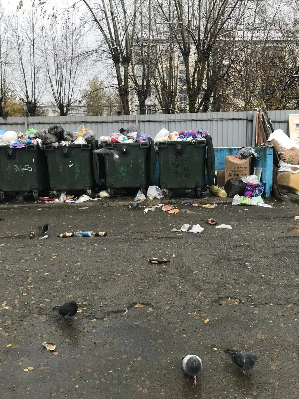 На контейнерных площадках Асбеста все стабильно. Переполненные мусорные баки, похоже, б...