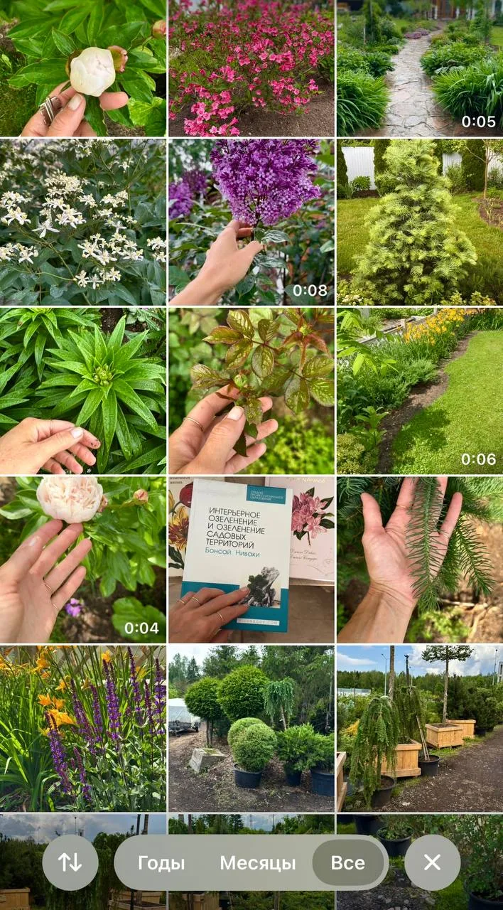 Ландшафтное бюро и садовый центр  🌳 ЧЕЛСИ ГАРДЕН ищет единомышленников!  Мы выращиваем растения  и с