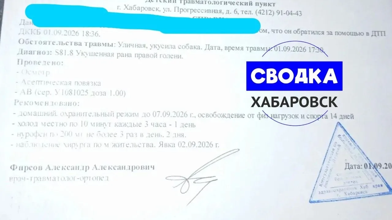 Беспризорная собака укусила семилетнего ребенка ещё 1 сентября, и по прежнему продолжае...