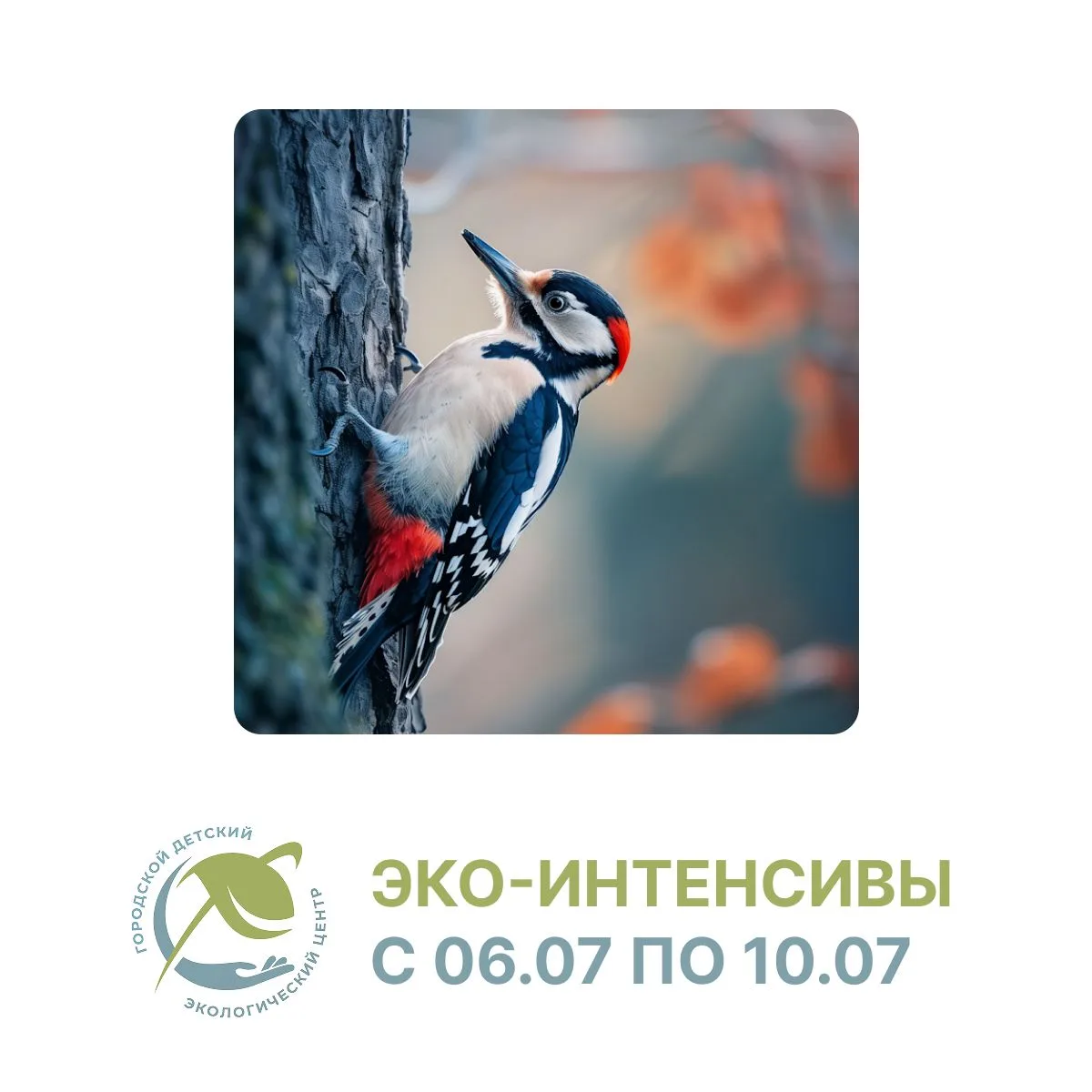 🦆 Городской детский экологический центр приглашает ребят с 7 лет на
«Летний биологический экологиче