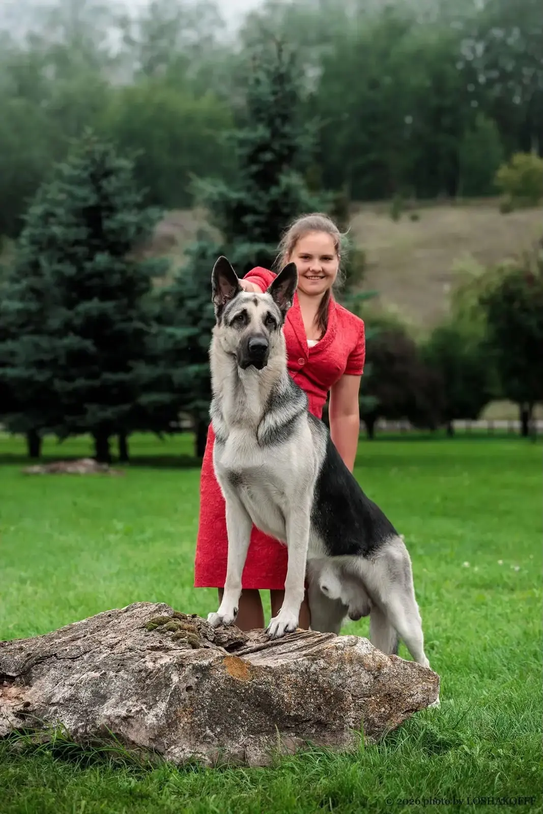 🐾 Наш выпускник — КАЛУЖСКИЙ БРИЛЛИАНТ ГОРДЫЙ ВИТЯЗЬ ВИКТОР!🐾