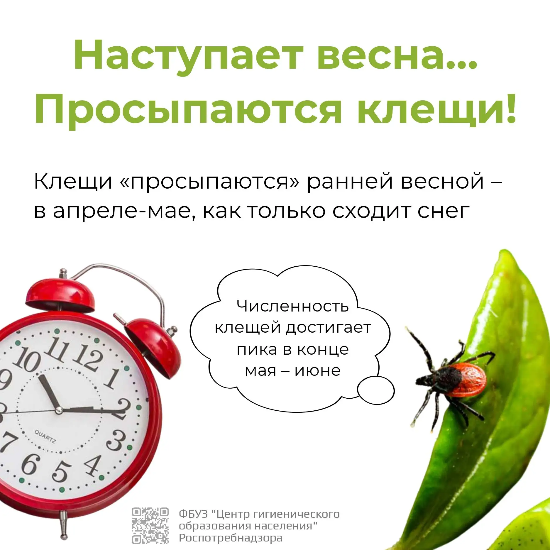 С приходом весны в парках, лесах и на дачных участках уже активизировались клещи — пере...