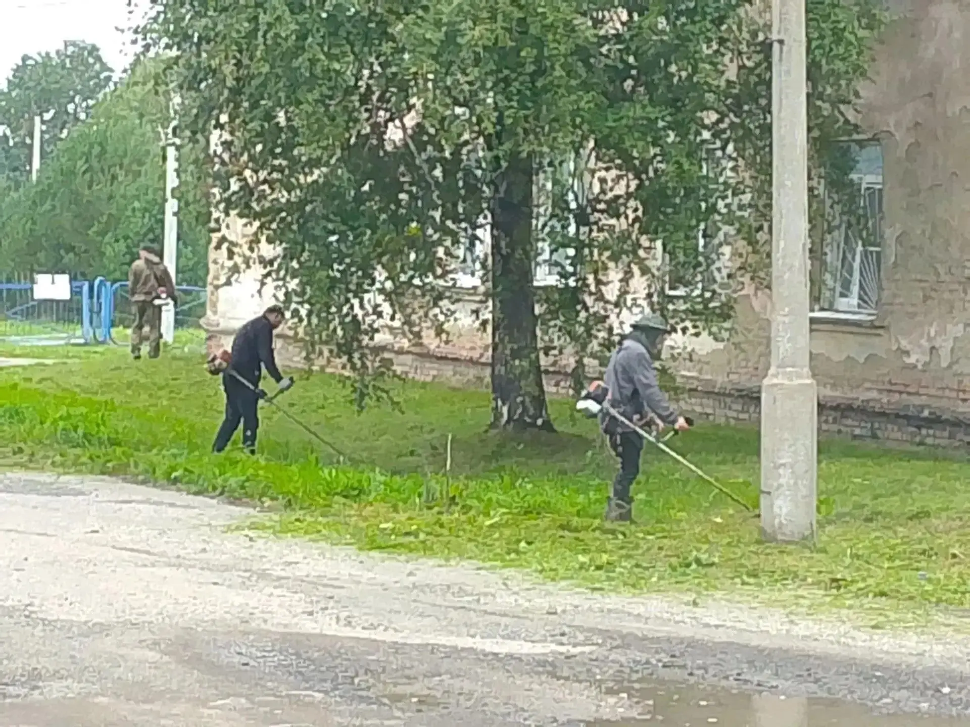 Окос газонов  в п.ш. Березовская