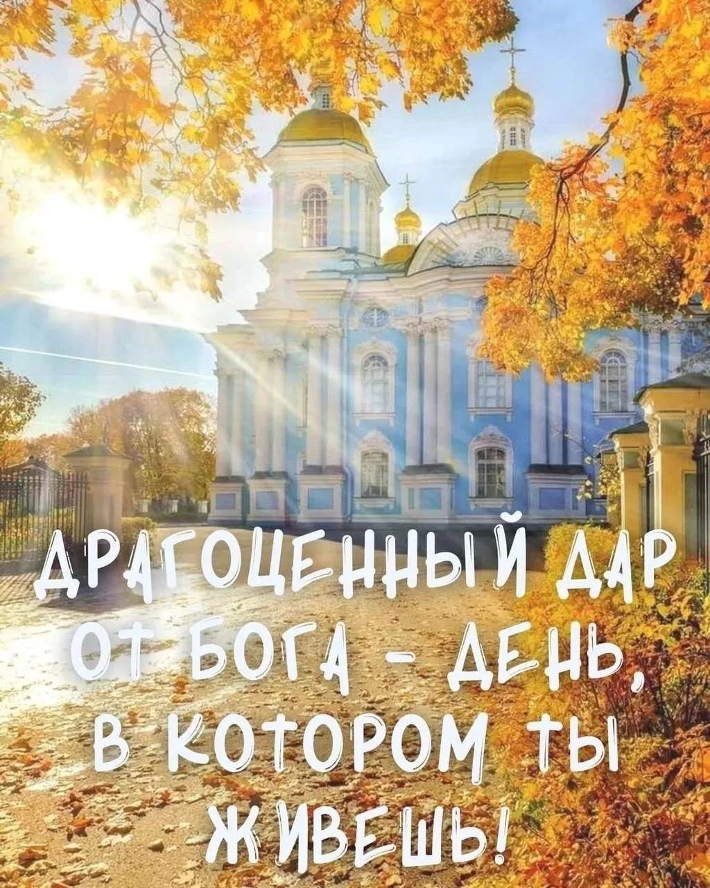 ДОБРОЕ УТРО ДРУЗЬЯ ❤️🤗🍁