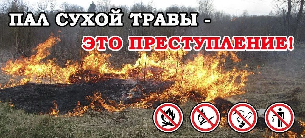 ской области настойчиво напоминает элементарные правила пожарной безопасности!
Не бросайте горящие с
