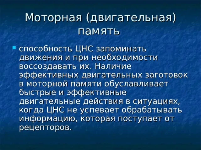 Двигательная (моторная) память — это способность организма запоминать, сохранять и воспроизводить дв