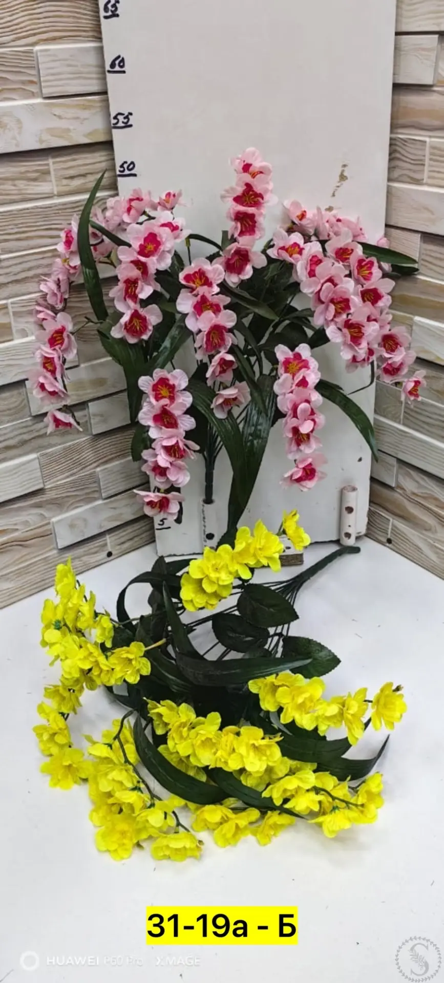 https://vk.com/photo-184814919_493528566