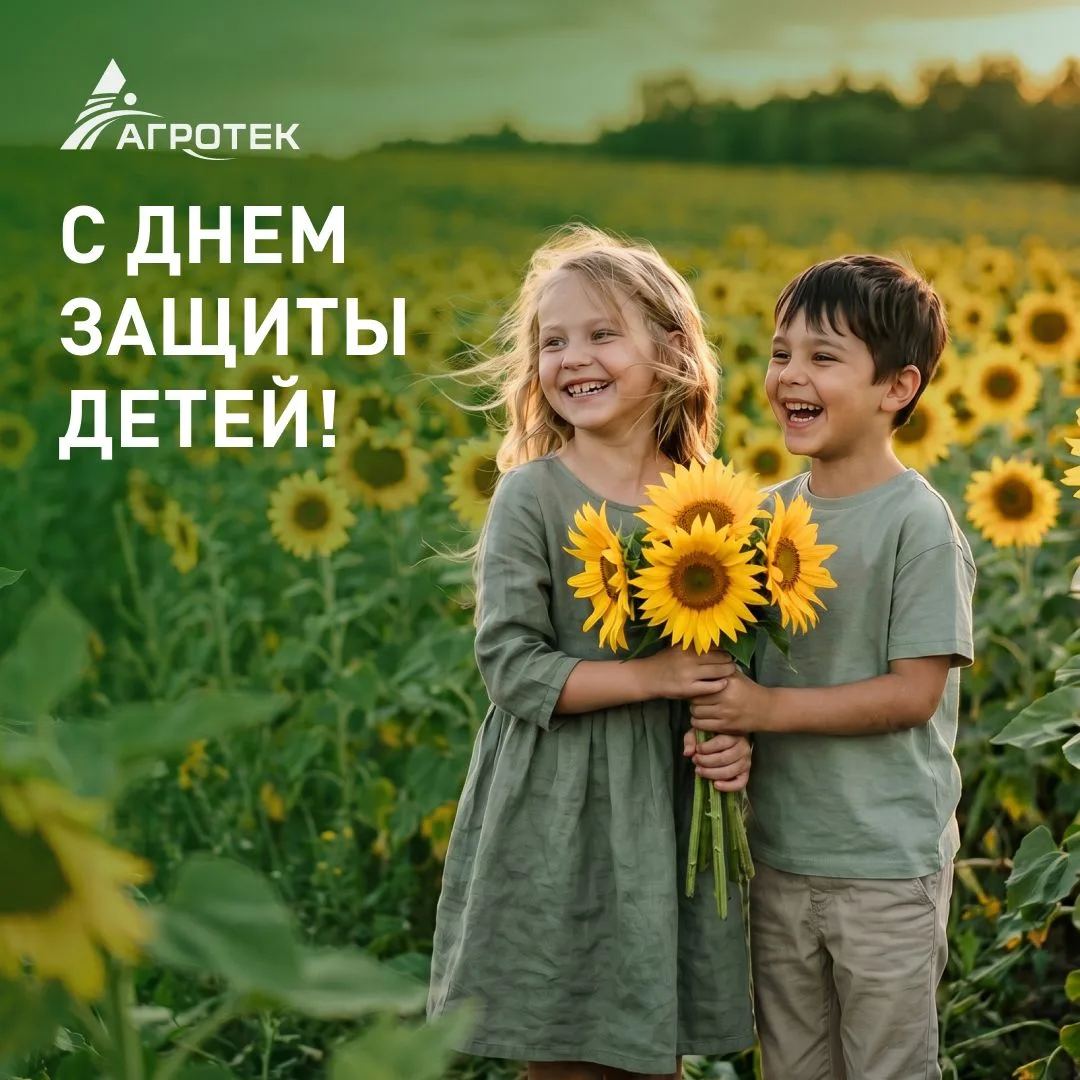 Дорогие друзья!