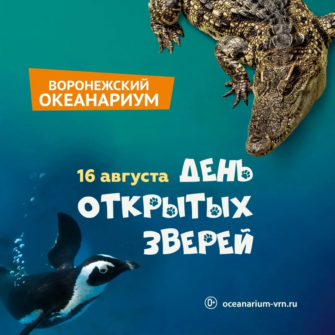 Звери – готовы ✅ Ну и мы тоже;) К нашему ежегодному марафону открытий: 16 августа в Вор...
