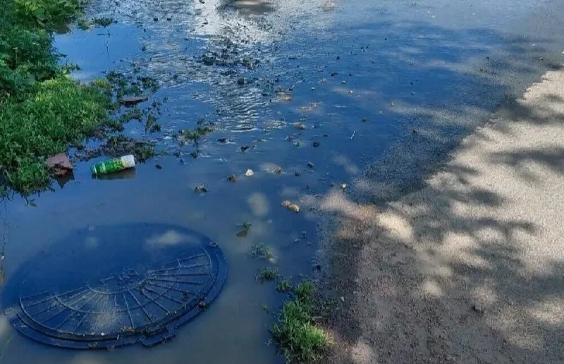 🌧 Нечистоты затопили улицу Суоярвскую на Перевалке

Пахучая вода вытекает из люка на дорогу и созда