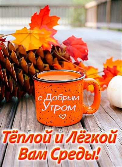 Доброе утро!🤩🐦
