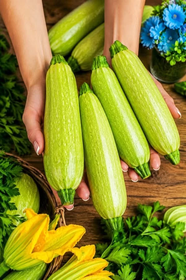 🥒 Ну что, кабачковый сезон уже начался? 😄

Признавайтесь, появились у вас уже первые кабачки? Или,