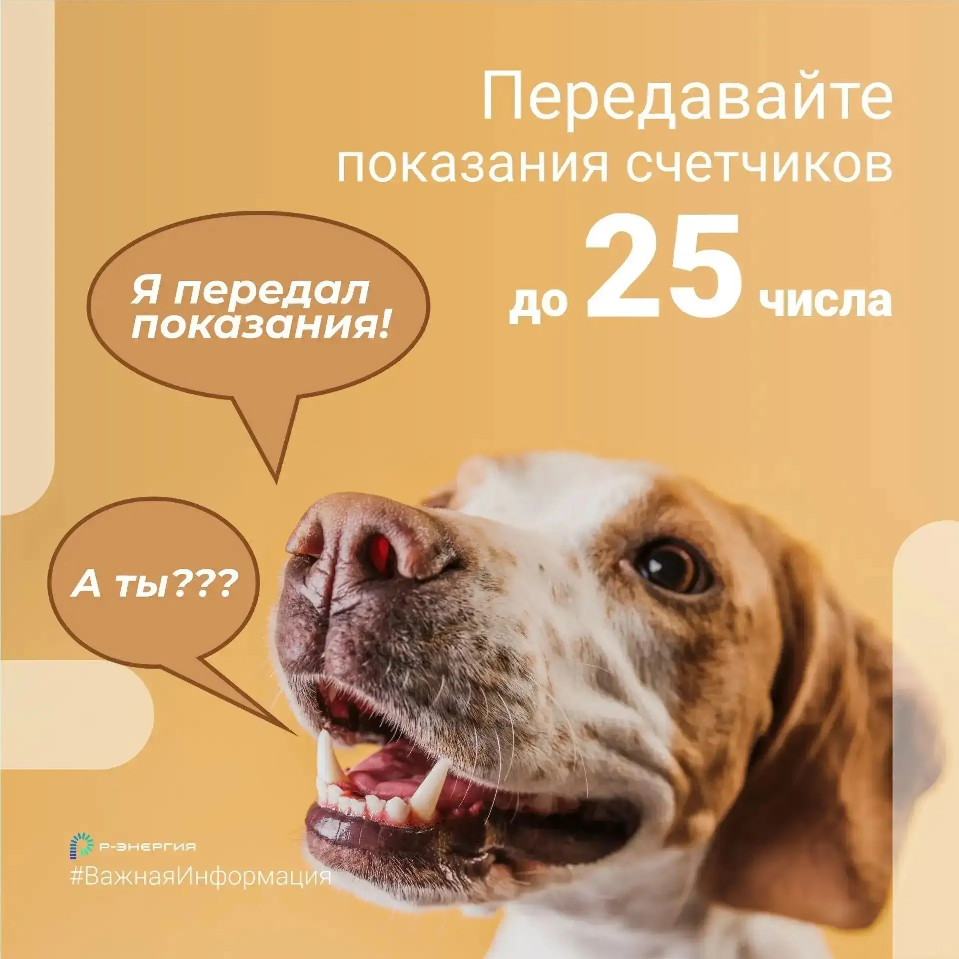⚡️«Р-энергия» напоминает рязанцам о сроках передачи показаний счетчиков

«Р-энергия» призывает рязан