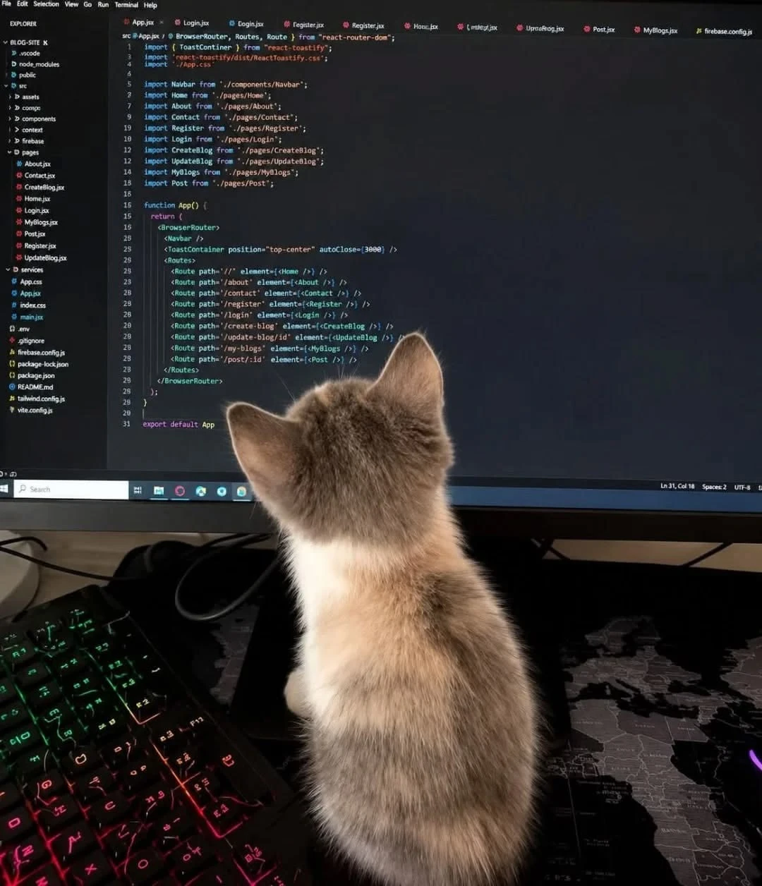 👨‍💻 День программиста отмечается сегодня