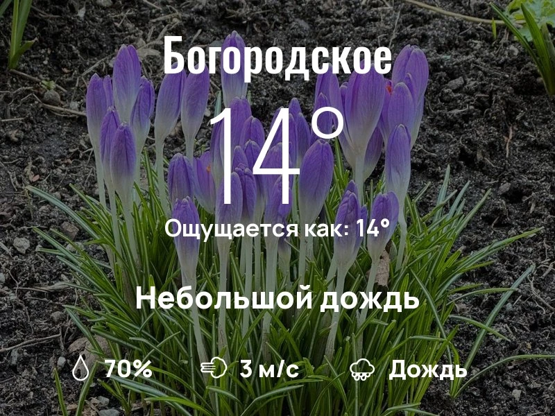 Что с погодой в Богородском?