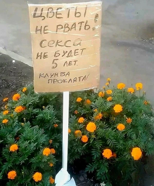 Страшное проклятие! Такую клумбу мы обходим